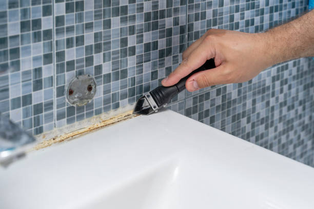 Best Affordable Mold Removal  in Laurel Hill, NC